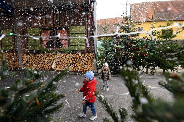 تزیینات عید کریسمس و سال نو در شهرهای جهان
آلمان - اسپوتنیک ایران  