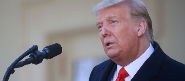  ترامپ شرط خود برای خروج از کاخ سفید را اعلام کرد  - اسپوتنیک ایران  