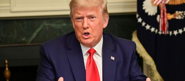 ترامپ دوباره ادعا کرد در انتخابات امریکا برنده شده است - اسپوتنیک ایران  