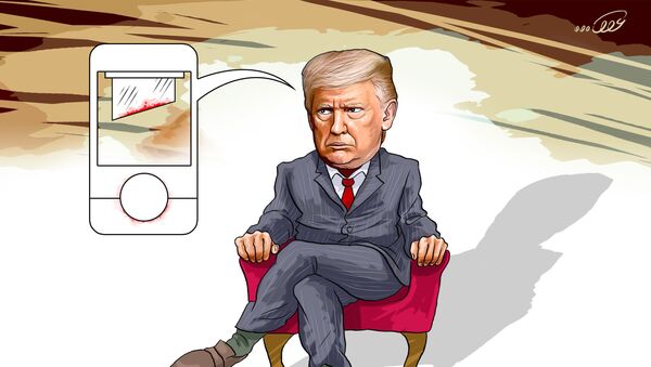 7. برنامه ترامپ راحتترین ناهنجاری بود که می شد از پس مقابله با آن برآمد.  - اسپوتنیک ایران  