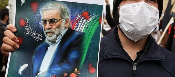 محسن فخری زاده، فیزیکدان هستهای ایران محسن فخری زاده، فیزیکدان هستهای ایران - اسپوتنیک ایران