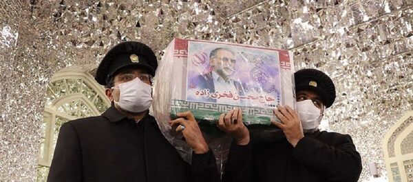 ترور فخری زاده به نفع چه کسانی است؟ - اسپوتنیک ایران  