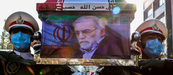 تقدیم نشان افتخار «درجه یک نصر» به خانواده محسن فخری زاده - اسپوتنیک ایران  