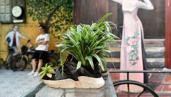 کتانی که به گلدان گل تبدیل شده در کافه Hidden Gem در هانوی ویتنام - اسپوتنیک ایران  