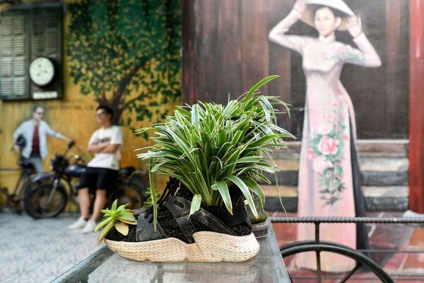 کتانی که به گلدان گل تبدیل شده در کافه Hidden Gem در هانوی ویتنام - اسپوتنیک ایران  