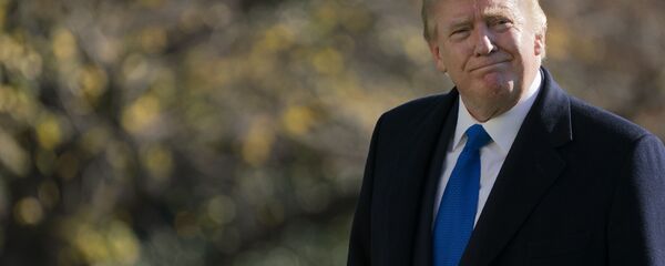 برنامه ترامپ برای پایان با شکوه در روز تحلیف بایدن - اسپوتنیک ایران  