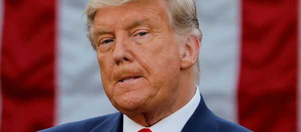 ترامپ دستور خروج نیروهای آمریکایی از سومالی را صادر کرد - اسپوتنیک ایران  