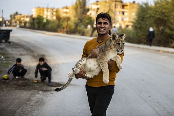 رویدادهای هفته به روایت تصویر
کُرد سوریه با سگش - اسپوتنیک ایران  