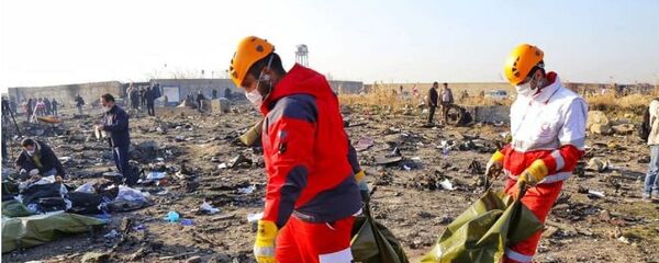 اعلام زمان مذاکرات بعدی ایران و اوکراین درباره سقوط هواپیمای اوکراینی - اسپوتنیک ایران  