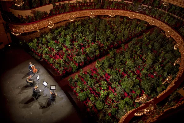 کنسرت در سالن Gran Teatre del Liceu بارسلون کنسرت در سالن Gran Teatre del Liceu بارسلون - اسپوتنیک ایران