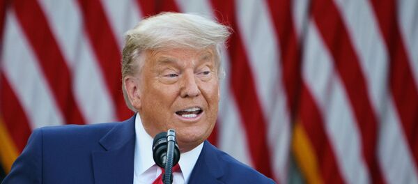 دونالد ترامپ در لباس زندانیها بر روی بیلبورد تبلیغاتی + عکس دونالد ترامپ در لباس زندانیها بر روی بیلبورد تبلیغاتی + عکس - اسپوتنیک ایران