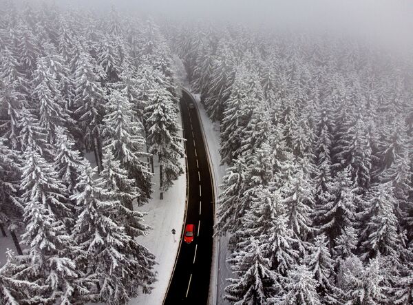 اتومبیل در جنگل برفی در آلمان - اسپوتنیک ایران  