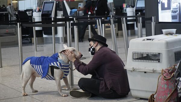 توریست با سگش در ترمینال ۲ فرودگاه لندن - اسپوتنیک ایران  