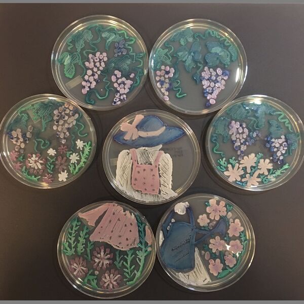 خلق آثار هنری با استفاده ازمیکروب و باکتری
میکروب‌شناس جوآن دونگو از آمریکا - اسپوتنیک ایران  