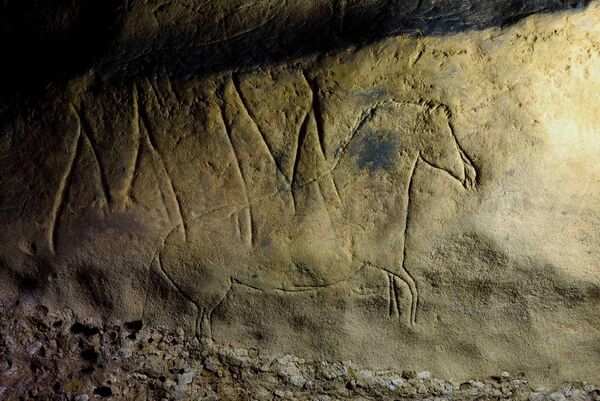 جالب‌ترین حفاری‌های سال 2020 میلادی
نقش‌های صخره ای غار فونت ماژور اسپانیا - اسپوتنیک ایران  
