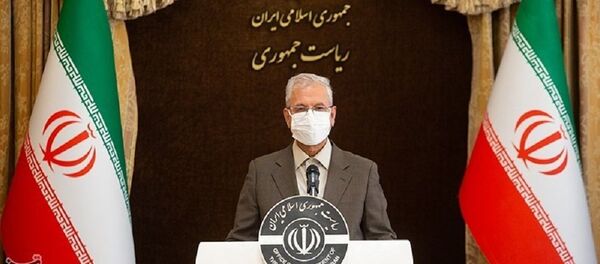 علی ربیعی، سخنگوی دولت ایران - اسپوتنیک ایران  