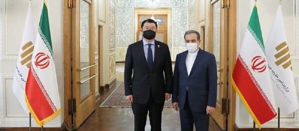 عراقچی خطاب به قائم مقام وزیر خارجه کره: توقیف نفتکش را سیاسی نکنید عراقچی خطاب به قائم مقام وزیر خارجه کره: توقیف نفتکش را سیاسی نکنید - اسپوتنیک ایران