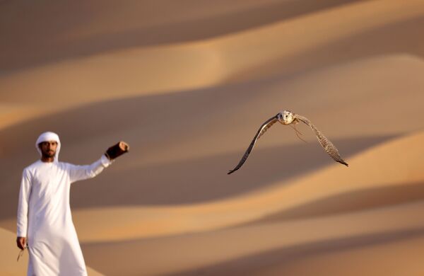 تمرین و آموزش عقاب در بیابان لیوا امارات  - اسپوتنیک ایران  