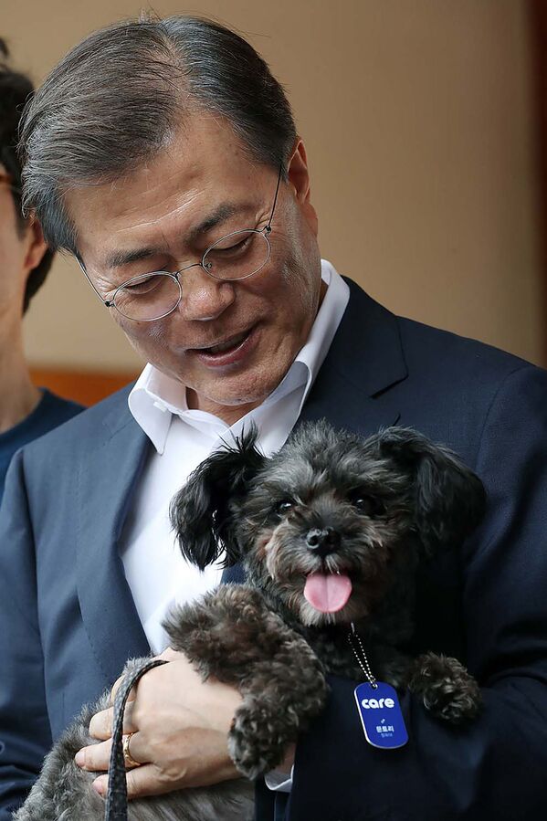 حیوانات خانگی رهبران سیاسی دنیا
رئیس جمهور کره جنوبی و سگش - اسپوتنیک ایران  