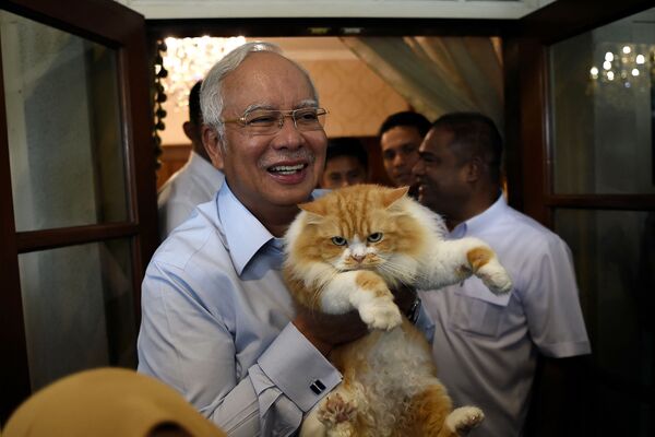حیوانات خانگی رهبران سیاسی دنیا
نخست وزیر مالزی و گربه اش - اسپوتنیک ایران  