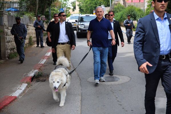 حیوانات خانگی رهبران سیاسی دنیا
نخست وزیر اسرائیل همراه سگش  - اسپوتنیک ایران  