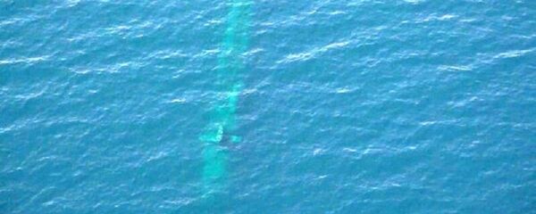 رصد زیردریایی بیگانه در رزمایش نیروی دریایی ایران  - اسپوتنیک ایران  