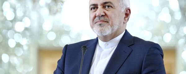 دیدگاه ظریف درباره انتخاب اساسی دولت جدید آمریکا  - اسپوتنیک ایران  