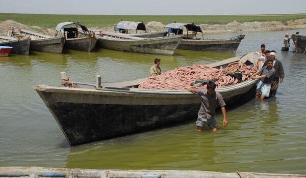 ماهیگیری و بسته بندی ماهی های خاویاری در استان گلستان - اسپوتنیک ایران  