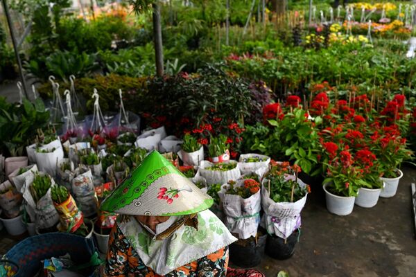 تدارکات یک سال نوی دیگر
دهکده گلها در مکونگ دلتا - اسپوتنیک ایران  