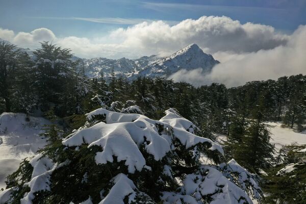 برف در تانورین لبنان - اسپوتنیک ایران  