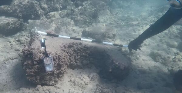 دانشمندان دانشگاه دولتی سواستاپل ویرانه های یک بندر باستانی را در آب های طرطوس سوریه کشف کردند - اسپوتنیک ایران  