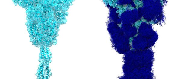 اکونومیست: چشم انداز مهار کرونا   - اسپوتنیک ایران  