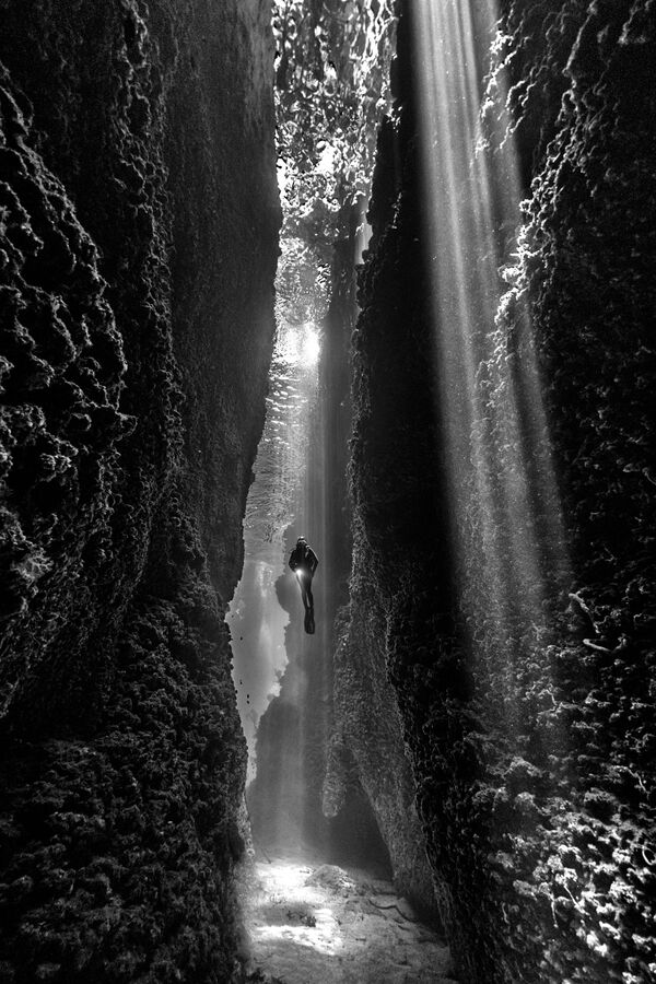 مسابقه عکاسی زیر آب
عکاس، دیانا فرلی از استرالیا - اسپوتنیک ایران  