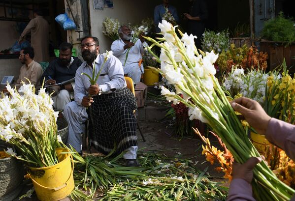 فروش گل قبل از روز ولنتاین در پاکستان - اسپوتنیک ایران  