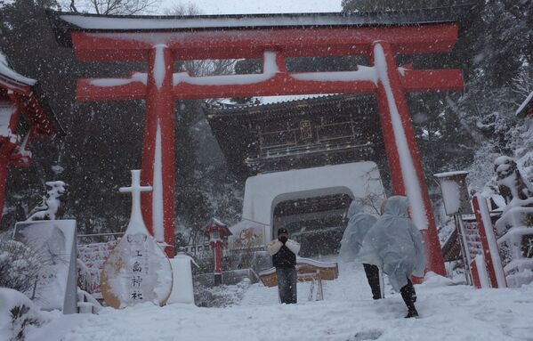 رکوردهای باورنکردنی بارش برف در طول تاریخ
ژاپن، توکیو، سال 2014 میلادی - اسپوتنیک ایران  