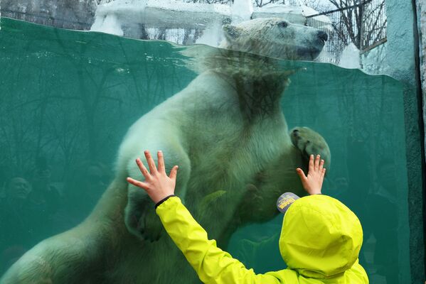 شهر خاباروسک در روسیه و تصاویری از خرس های باغ وحش - اسپوتنیک ایران  