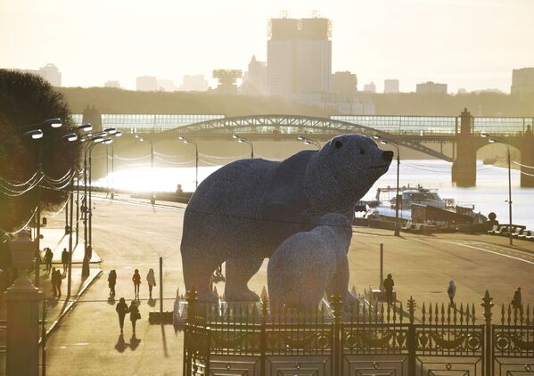 تصاویری از خرس های قطبی در پارک فرهنگ گورکی در مسکو - اسپوتنیک ایران  