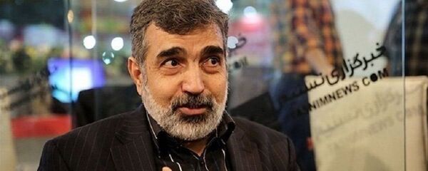 بهروز کمالوندی، سخنگوی سازمان انرژی اتمی ایران - اسپوتنیک ایران  