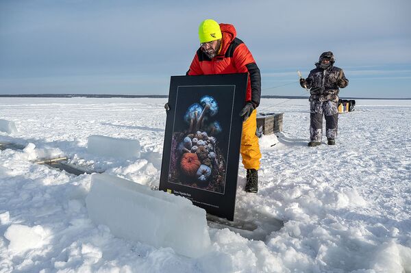 اولین گالری تابلوهای نقاشی زیر یخ‌های دریای سفید - اسپوتنیک ایران  