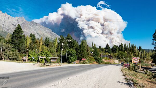 آتش‌سوزی جنگلی در آرژانتین - اسپوتنیک ایران  