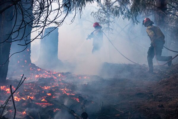 آتش‌سوزی جنگلی در « چوبوت» آرژانتین - اسپوتنیک ایران  
