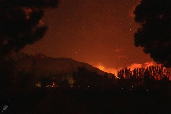 آتش‌سوزی جنگلی در « چوبوت» آرژانتین - اسپوتنیک ایران  