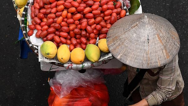  میوه فروش با دوچرخه اش - اسپوتنیک ایران  