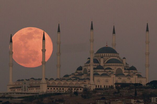 قرص کامل ماه در نقاط مختلف دنیا 
ترکیه - اسپوتنیک ایران  