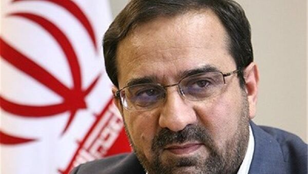کاندیداتوری وزیر پیشین ورزش ایران برای انتخابات ریاست جمهوری - اسپوتنیک ایران  