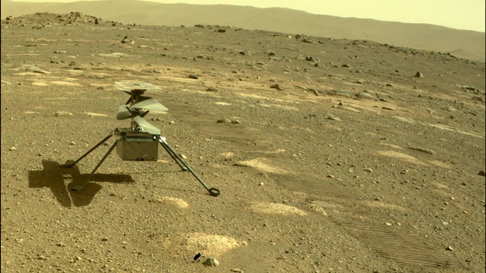 دانشمندان: ممکن است خاک مریخ باعث یک فاجعه بیولوژیکی در کره زمین شود - اسپوتنیک ایران  , 1920, 01.05.2021