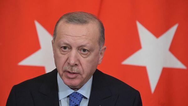 اردوغان از آغاز احداث خط لوله گاز در کف دریای سیاه در سواحل ترکیه خبر داد - اسپوتنیک ایران  