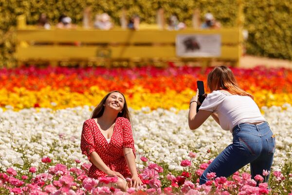 رویدادهای هفته به روایت تصویر
دشت گلها در آمریکا - اسپوتنیک ایران  