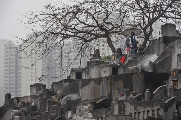 رویدادهای هفته به روایت تصویر
قبرستانی در چین - اسپوتنیک ایران  