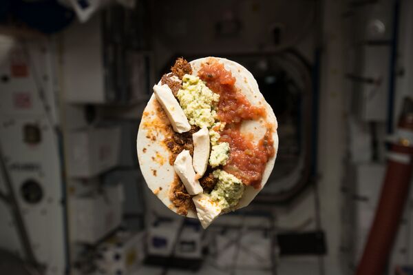 غذاهای فضایی
صبحانه فضانورد آمریکایی (تیم کوپرا) - اسپوتنیک ایران  